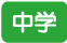 中学